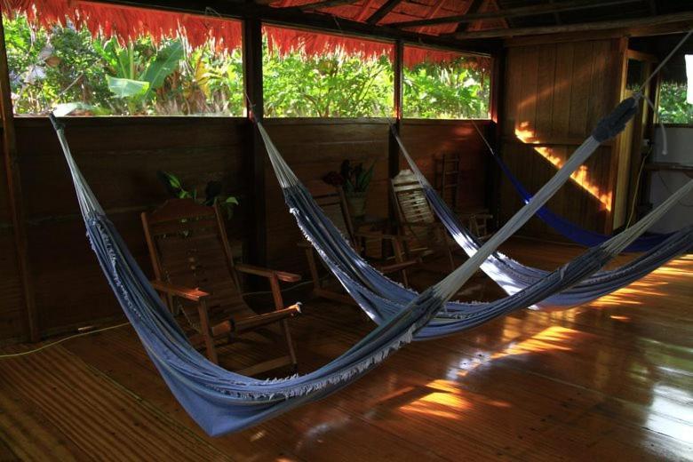 Ecolucerna Lodge Tambopata Puerto Maldonado Extérieur photo