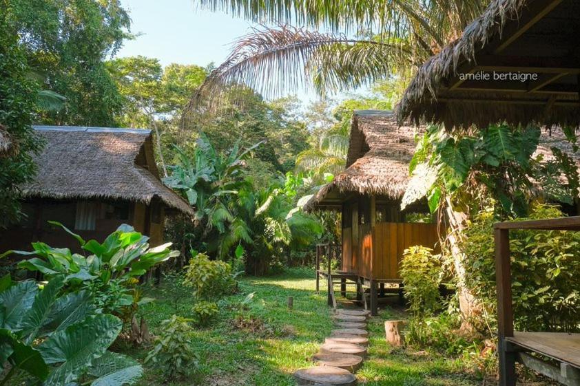 Ecolucerna Lodge Tambopata Puerto Maldonado Extérieur photo