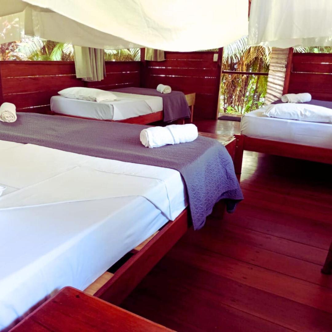 Ecolucerna Lodge Tambopata Puerto Maldonado Extérieur photo