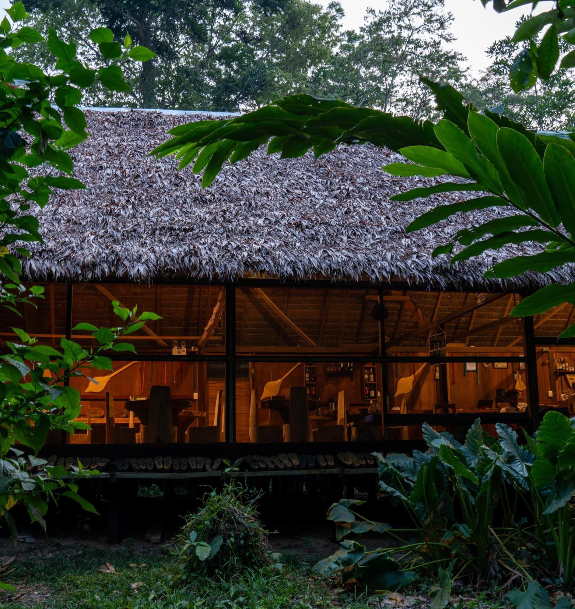 Ecolucerna Lodge Tambopata Puerto Maldonado Extérieur photo