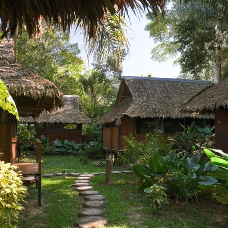 Ecolucerna Lodge Tambopata Puerto Maldonado Extérieur photo