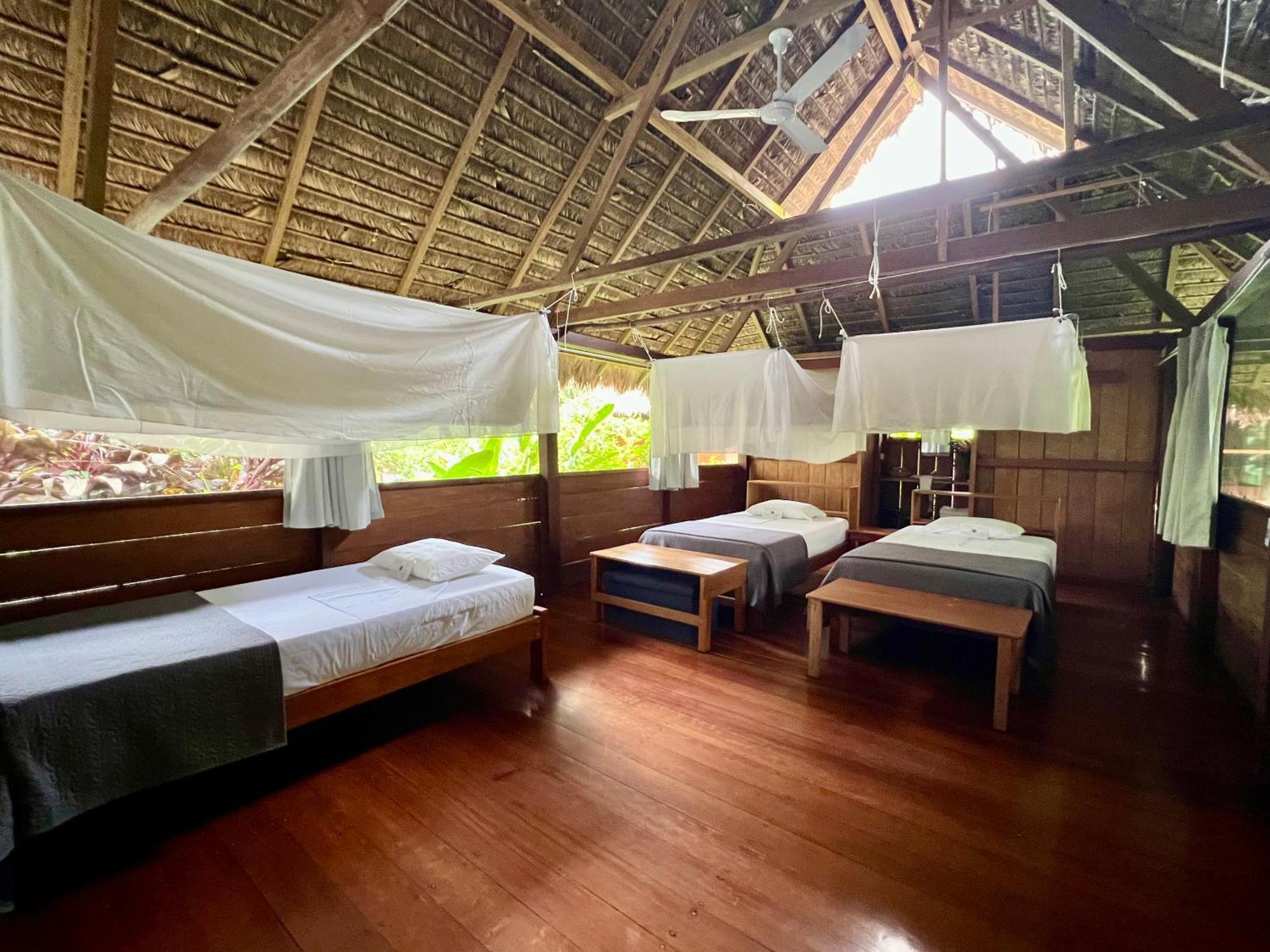 Ecolucerna Lodge Tambopata Puerto Maldonado Extérieur photo