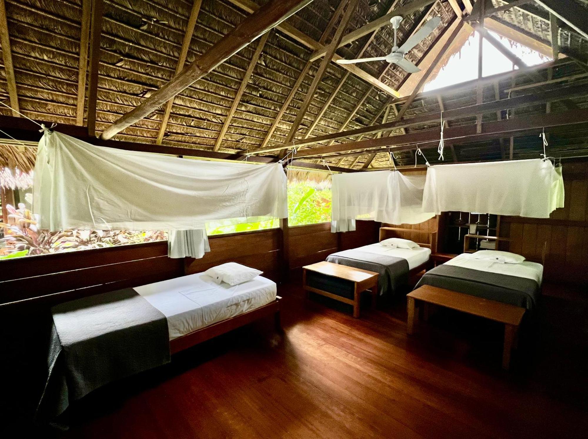 Ecolucerna Lodge Tambopata Puerto Maldonado Extérieur photo